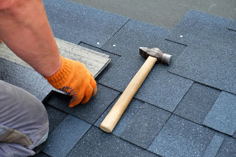 Professional Asphalt Roof Repair 4