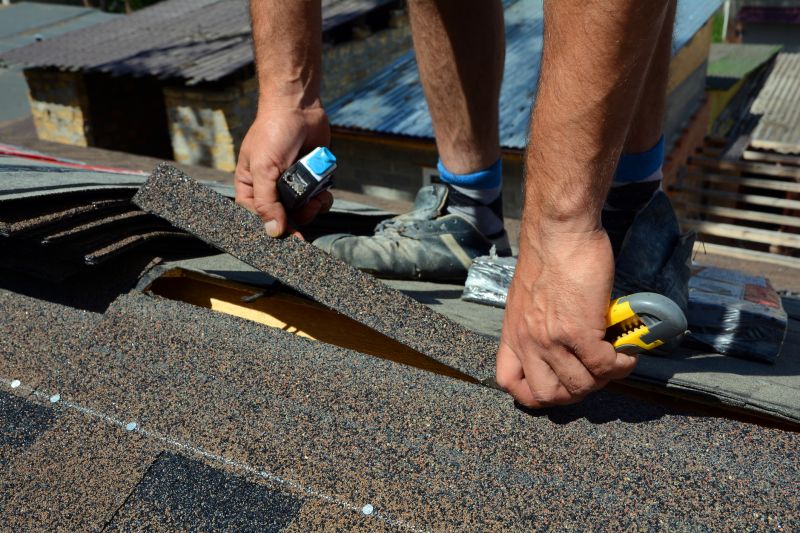 Professional Asphalt Roof Repair 1