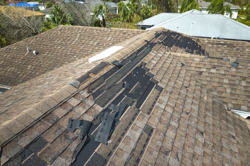 Professional Asphalt Roof Repair 3