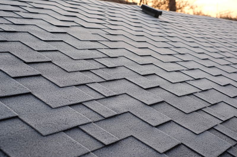 Roofing Material Close-up